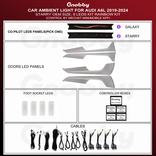 AUDI A6L 2019-2024 Ambient Lighting Retrofit Kit | 9 LEDs