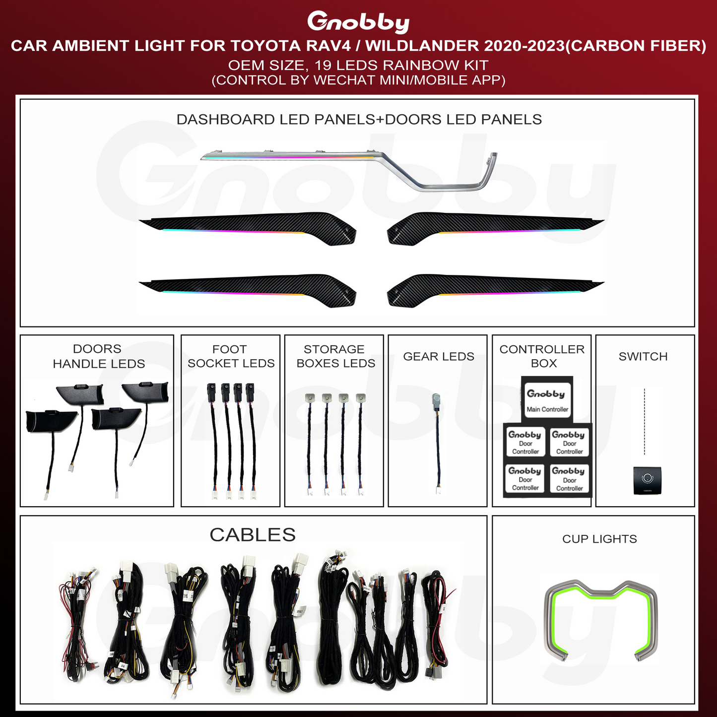 Ambient Lighting Kits for TOYOTA RAV4 2020-2021